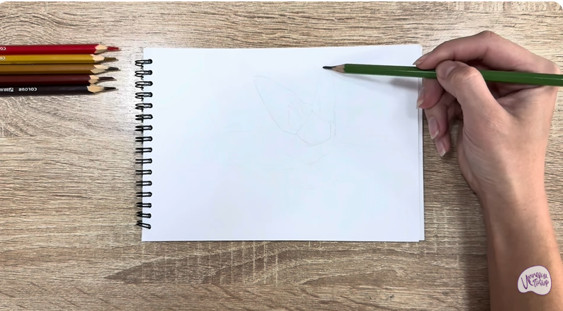 Рисуем Бурый ушан