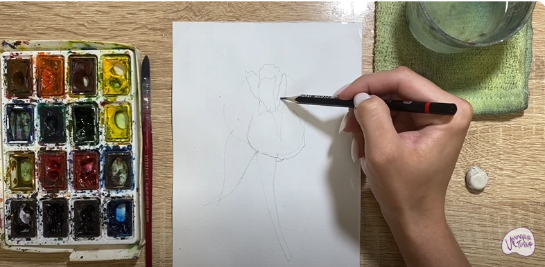Рисуем Ирис
