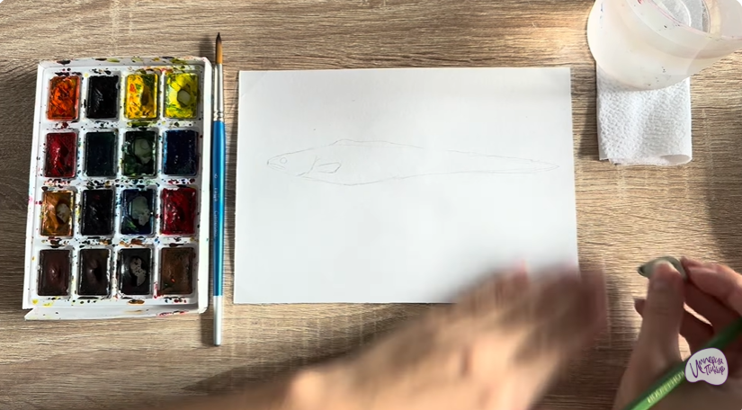 Рисуем Конгрио