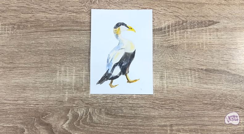 Рисуем Обыкновенная гага