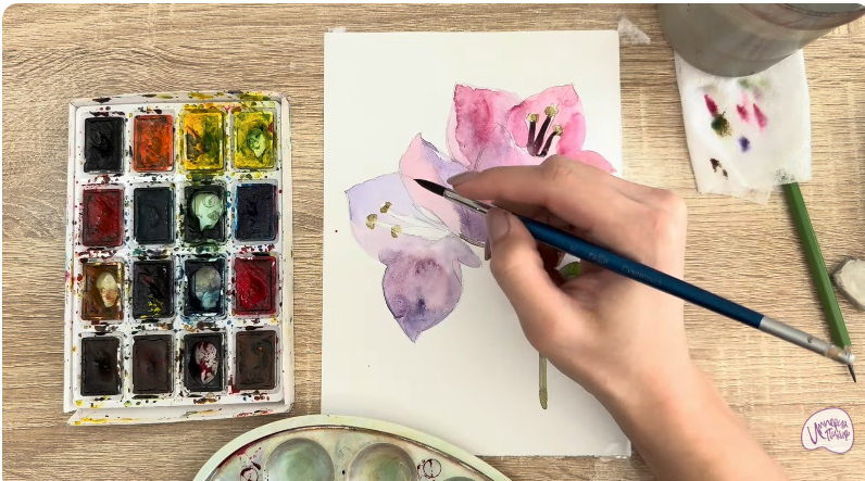 Рисуем Бугенвиллея