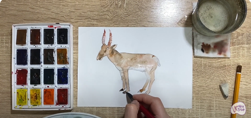 Рисуем Сайгак