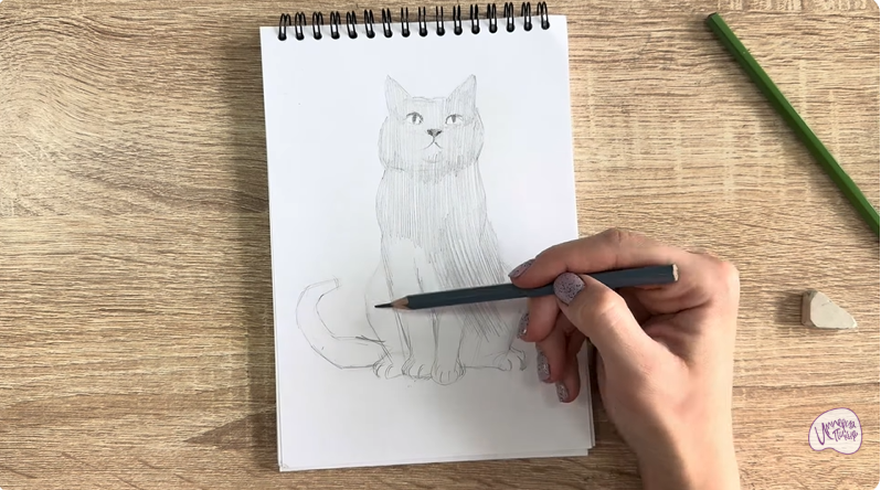 Рисуем Кот породы Шартрез