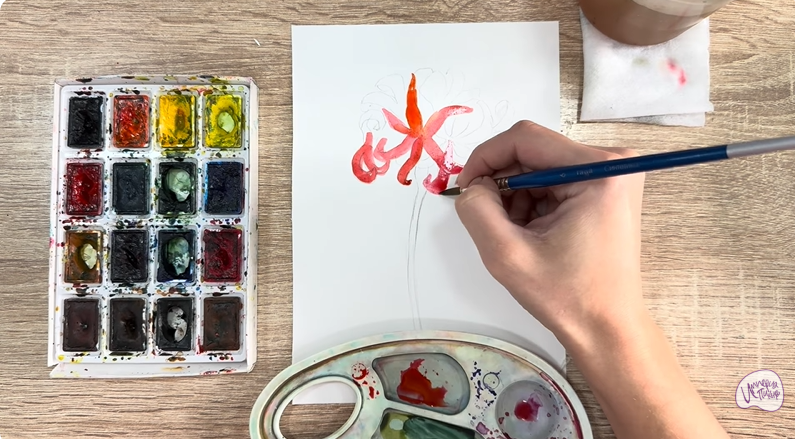 Рисуем Ликорис