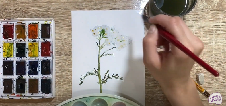 Рисуем Тысячелистник