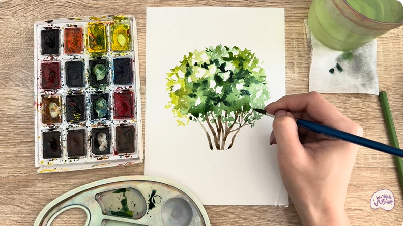 Рисуем Саженец бирючины