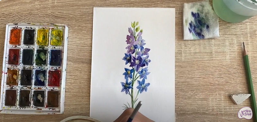 Рисуем Живокость