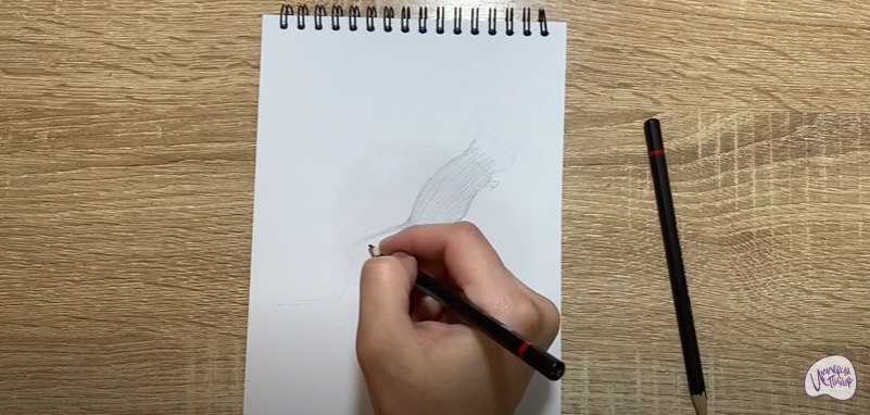 Рисуем Тушканчик