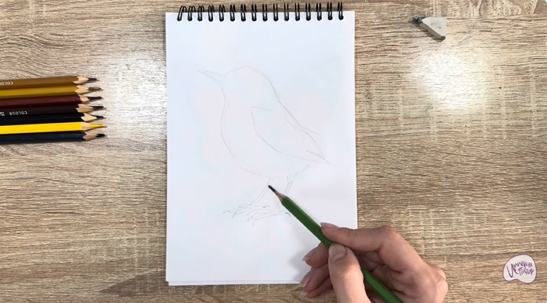 Рисуем Крапивник