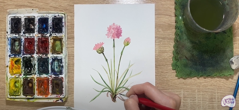 Рисуем Полевой цветок