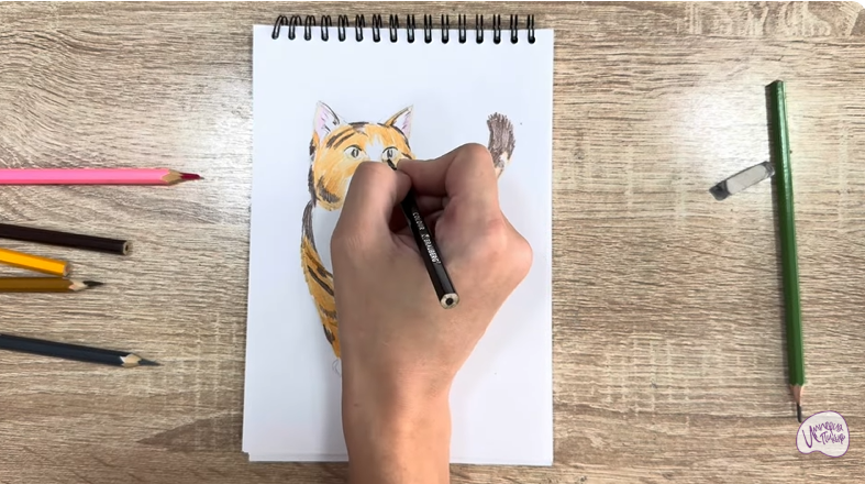 Рисуем Кошка породы "Манчкин"