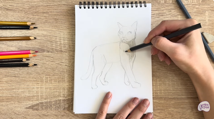 Рисуем Кошка Бурмилла