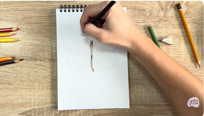 Рисуем Малинница обыкновенная