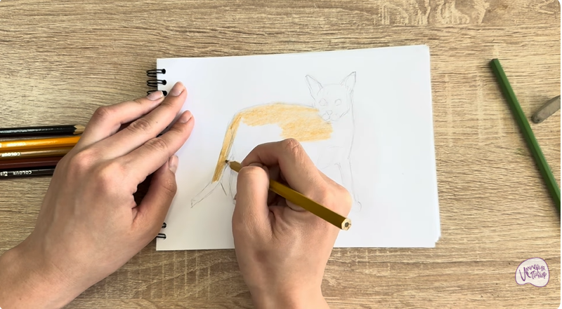 Рисуем Кот породы Оцикет