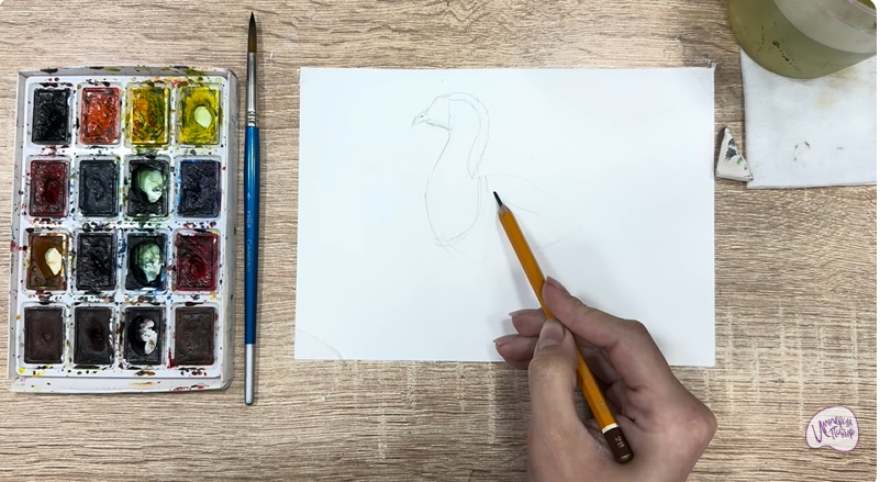 Рисуем Краснозобая казарка