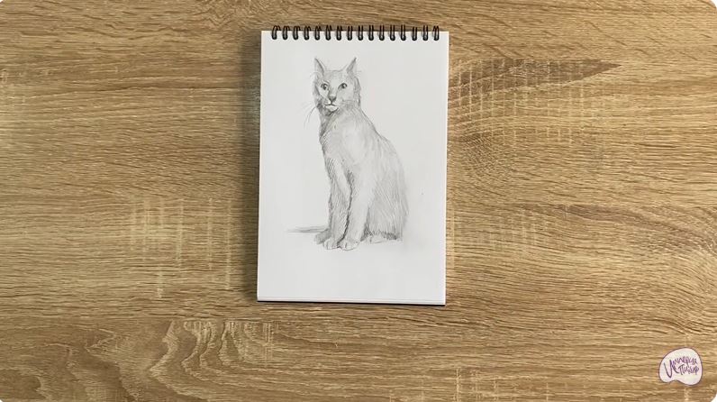 Рисуем Турецкая ангора