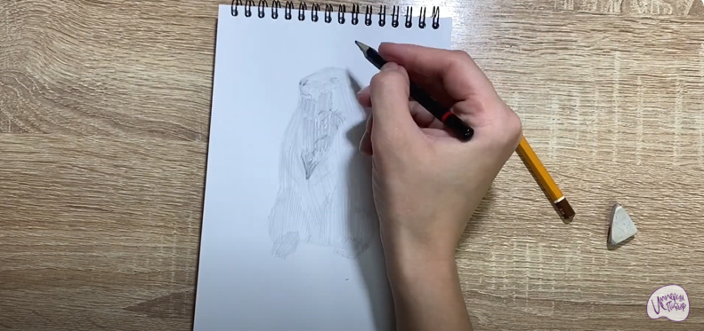 Рисуем Суслик