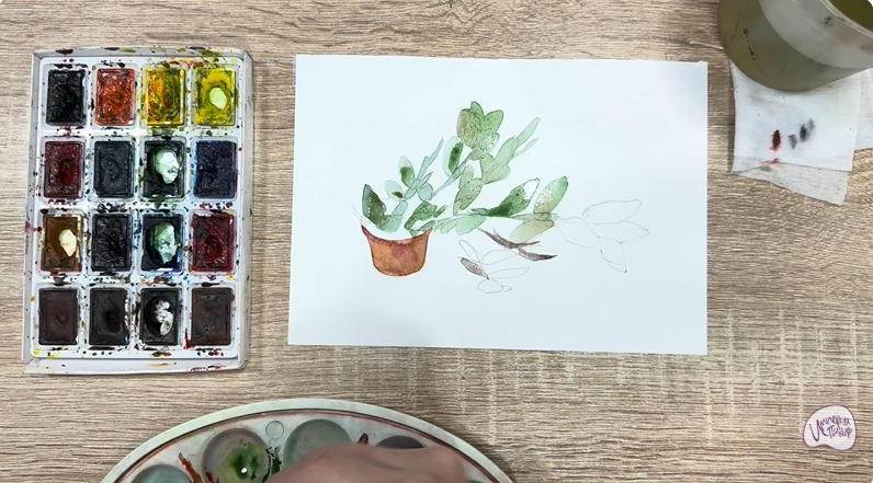 Рисуем Пеллиония в горшке