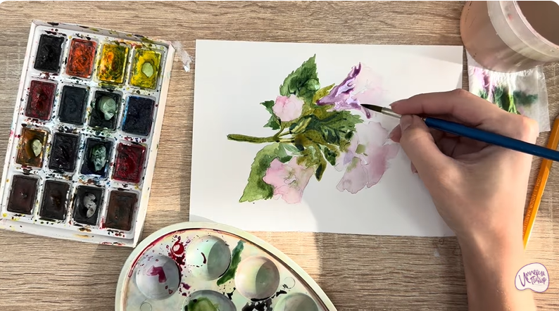 Рисуем Алтей лекарственный