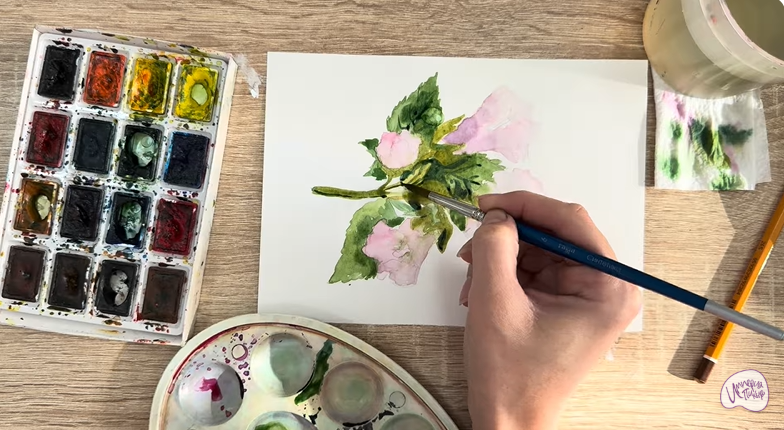 Рисуем Алтей лекарственный