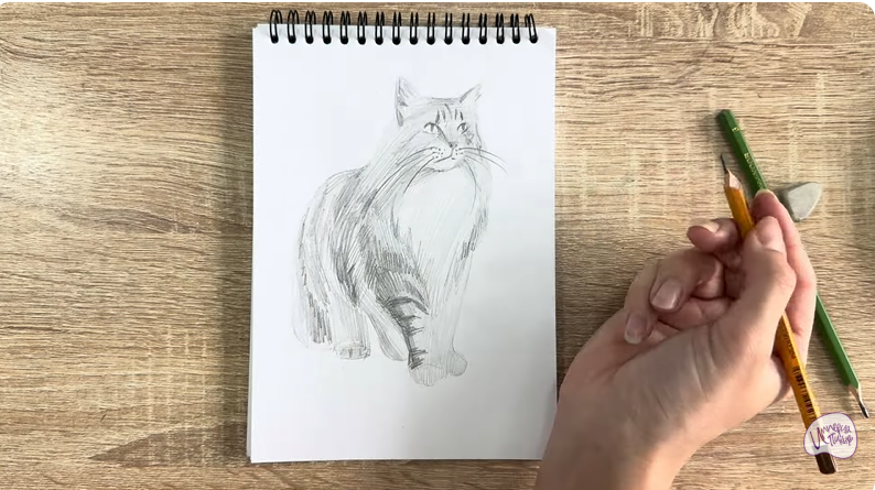 Рисуем Норвежский лесной кот