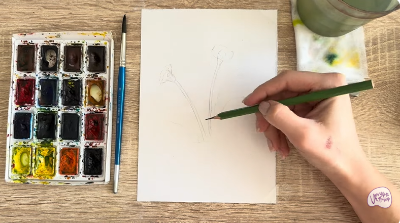 Рисуем Мать-и-мачеха