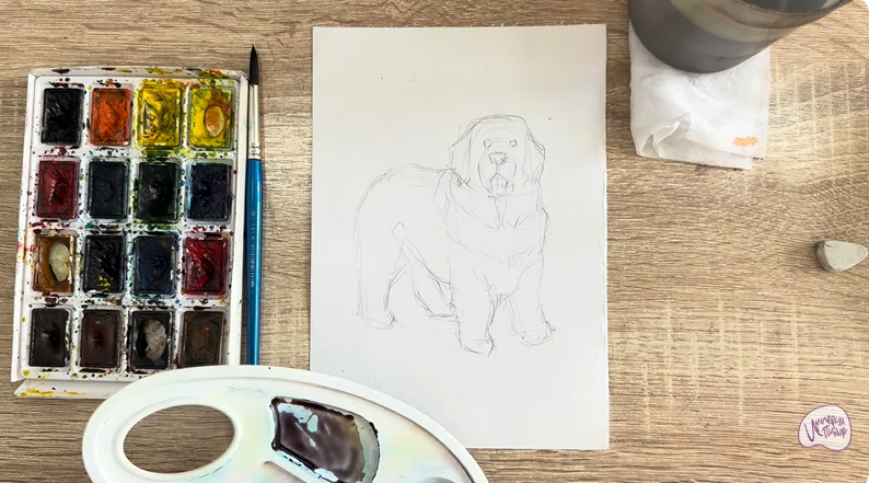 Рисуем Собака породы Ньюфаундленд