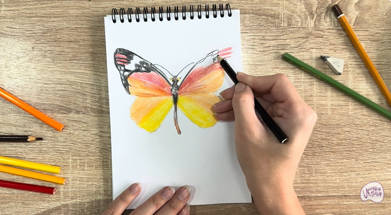 Рисуем Малинница обыкновенная