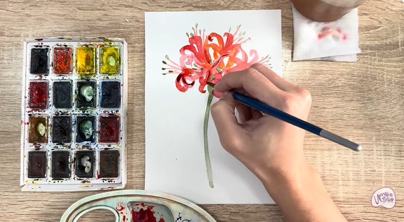 Рисуем Ликорис