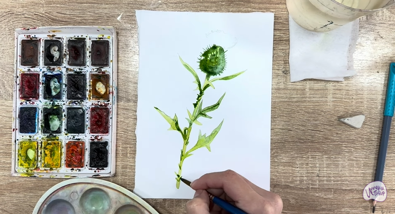 Рисуем Бодяк