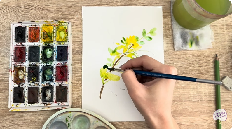 Рисуем Ветка караганы