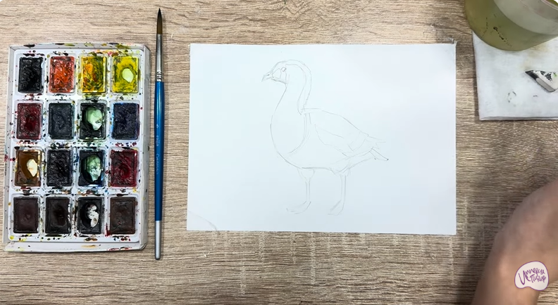 Рисуем Краснозобая казарка