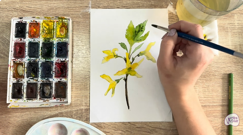 Рисуем Форзиция