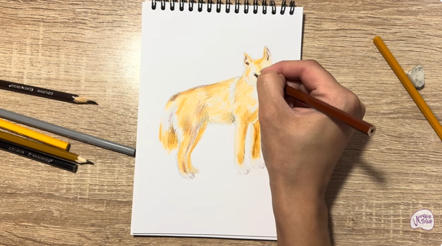 Рисуем Динго