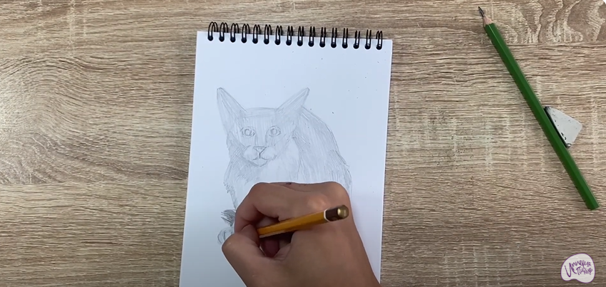 Рисуем Балинезийская кошка