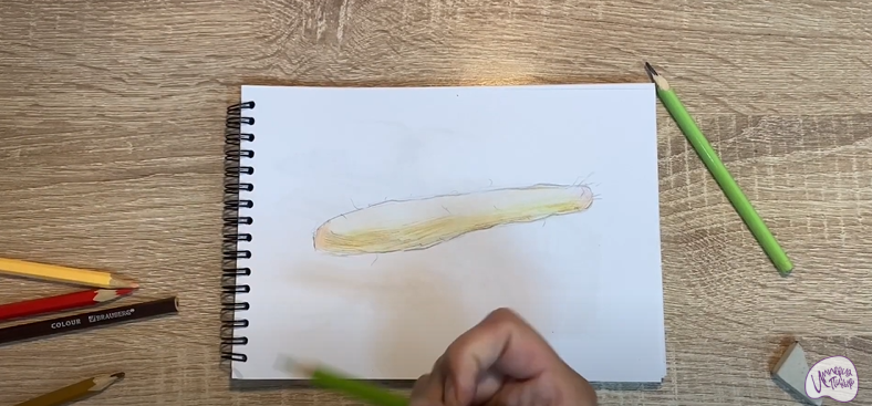 Рисуем Ямс