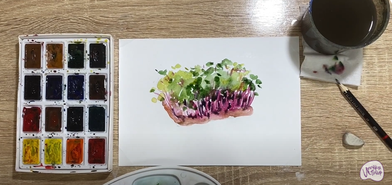 Рисуем Микрозелень