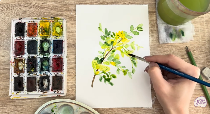 Рисуем Ветка караганы