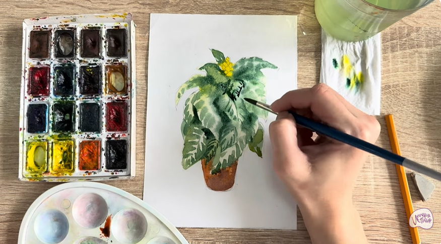 Рисуем Афеландра в горшке