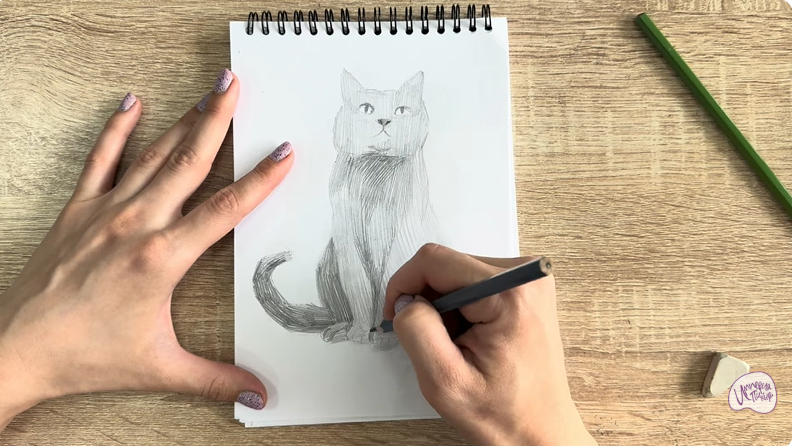 Рисуем Кот породы Шартрез