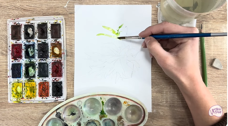 Рисуем Платицериум в горшке