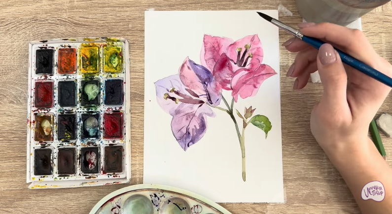 Рисуем Бугенвиллея