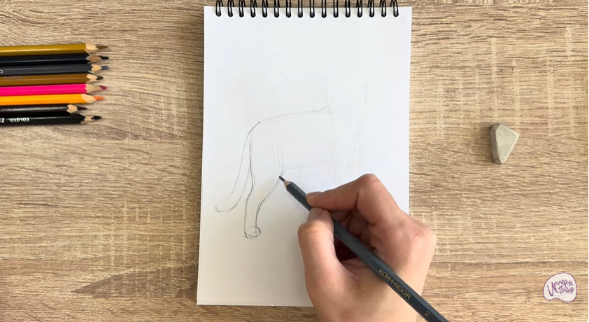 Рисуем Кошка Бурмилла
