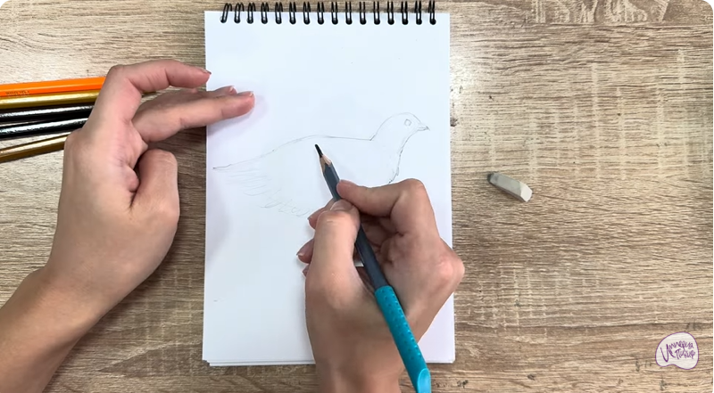 Рисуем Канадская дикуша