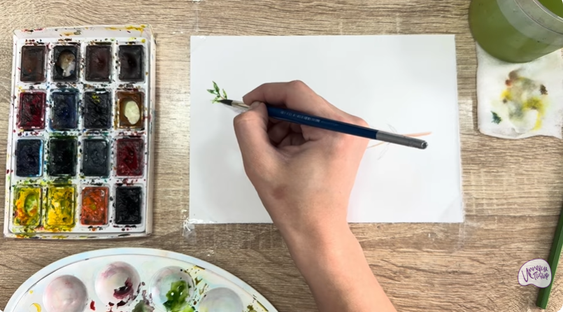 Рисуем Тимьян