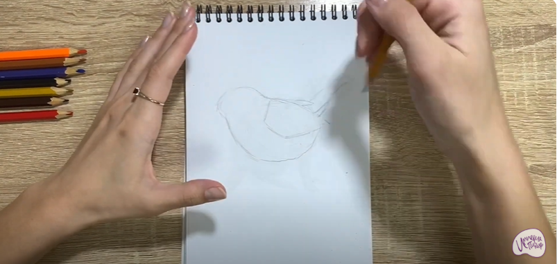 Рисуем Птичка "Зарянка"