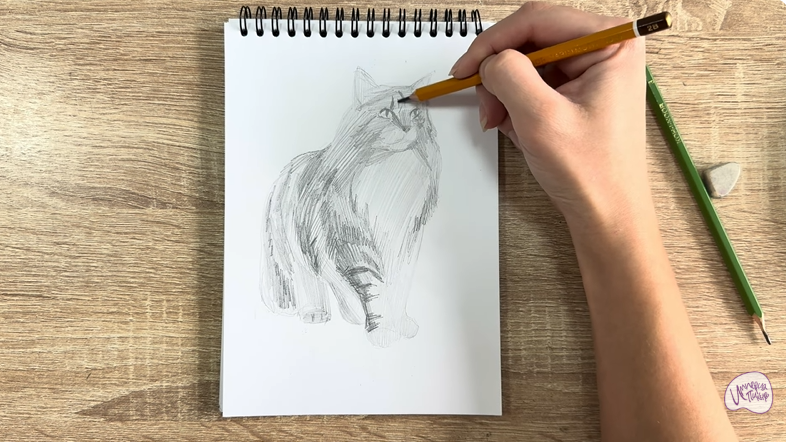 Рисуем Норвежский лесной кот