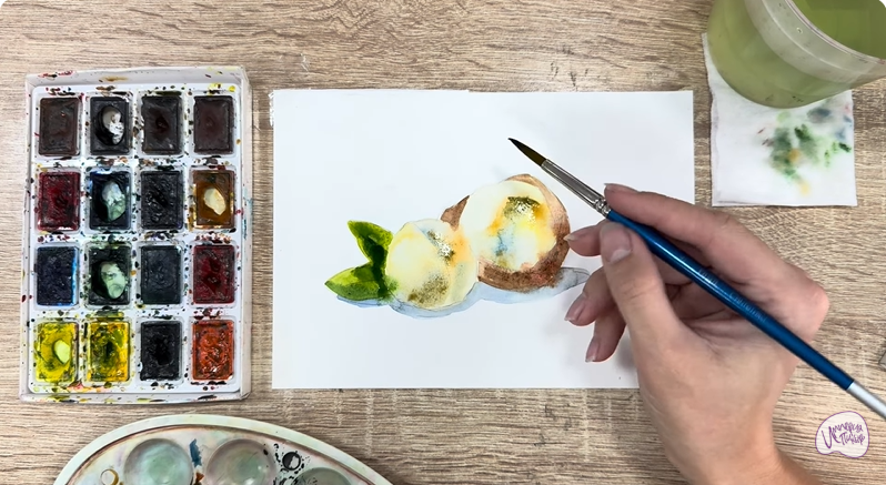 Рисуем Макадамия