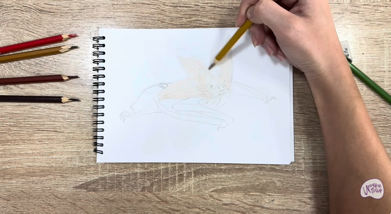 Рисуем Бурый ушан