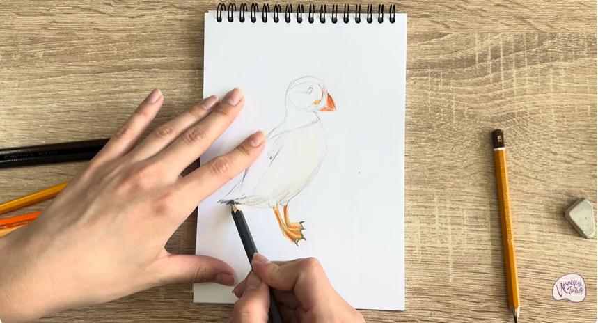 Рисуем Птица тупик